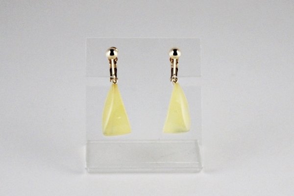 画像2: 琥珀イヤリング (2)