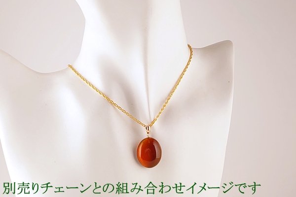 画像7: 琥珀ペンダント (7)