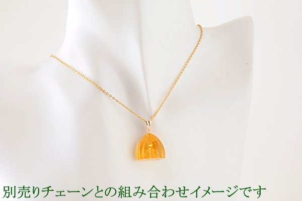 画像4: 琥珀ペンダント (4)