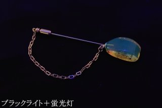 ブルーアンバー ブルーアンバー