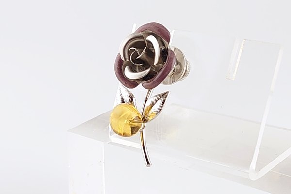 画像13: 琥珀ブローチ (13)