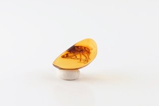 a94 超美品　琥珀　コハク　リング　虫入り　9号 a94 超美品 琥珀 コハク リング 虫入り 9号 - メルカリ