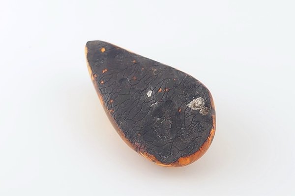 画像8: 琥珀原石 (8)