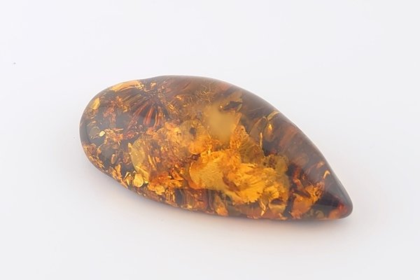 画像6: 琥珀原石 (6)