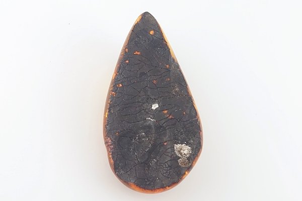 画像7: 琥珀原石 (7)