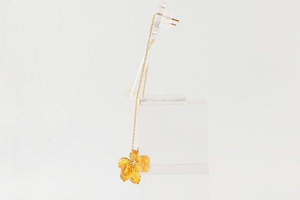 画像3: 琥珀ピアス (3)