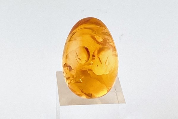 画像2: 琥珀原石 (2)