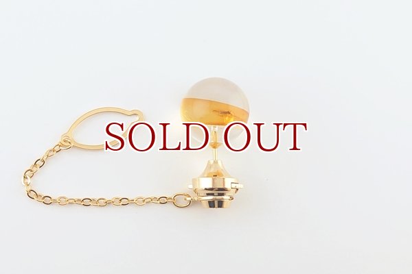 画像3: 虫入り琥珀タイタック (3)