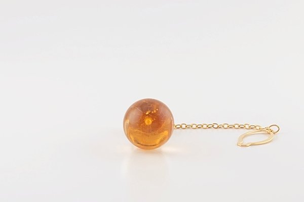 画像4: 虫入り琥珀タイタック (4)