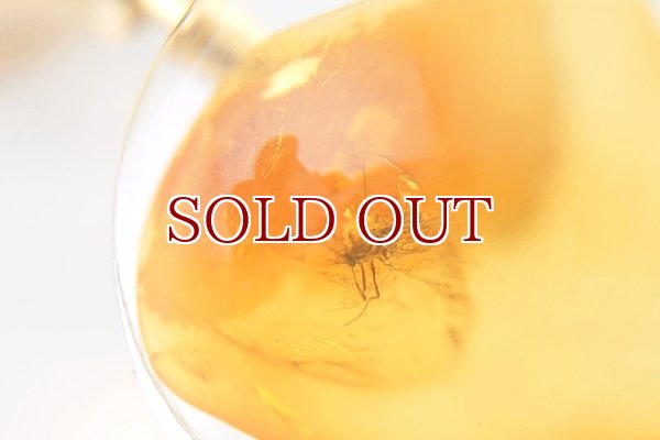 画像5: 虫入り琥珀タイタック (5)