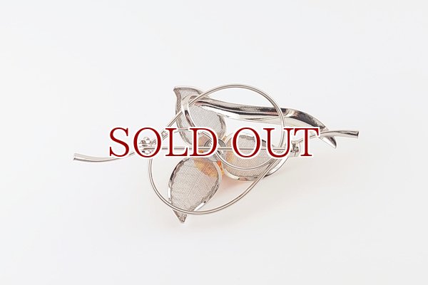 画像4: 琥珀ブローチ (4)