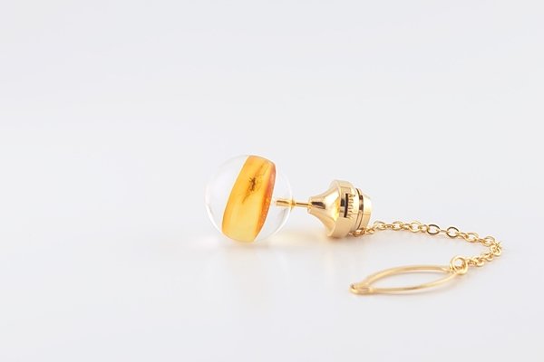 画像2: 虫入り琥珀タイタック (2)