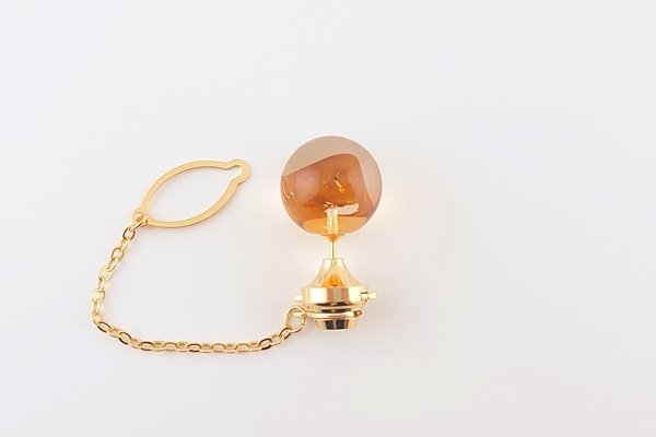 画像5: 虫入り琥珀タイタック (5)