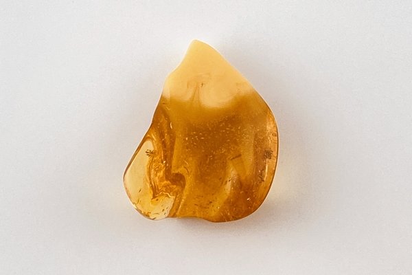 画像5: 琥珀原石 (5)