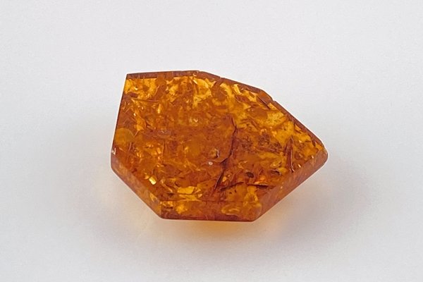 画像6: 琥珀原石 (6)