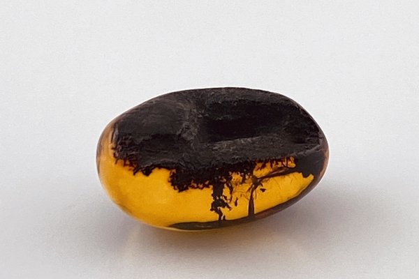 画像5: 琥珀原石 (5)