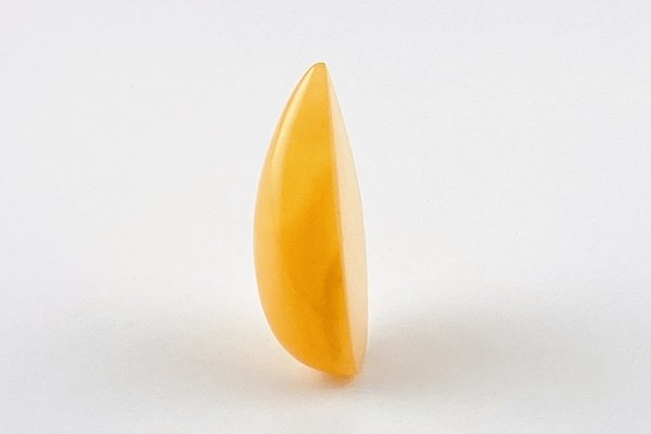 画像3: 琥珀原石 (3)
