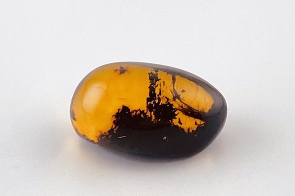 画像4: 琥珀原石 (4)