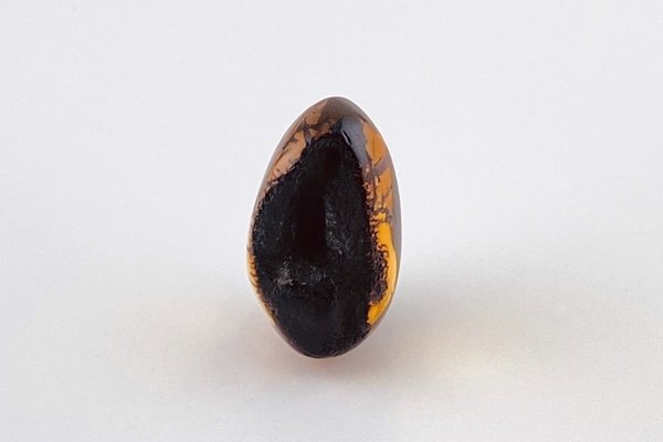 画像6: 琥珀原石 (6)