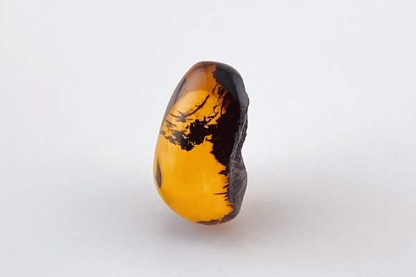 画像3: 琥珀原石 (3)