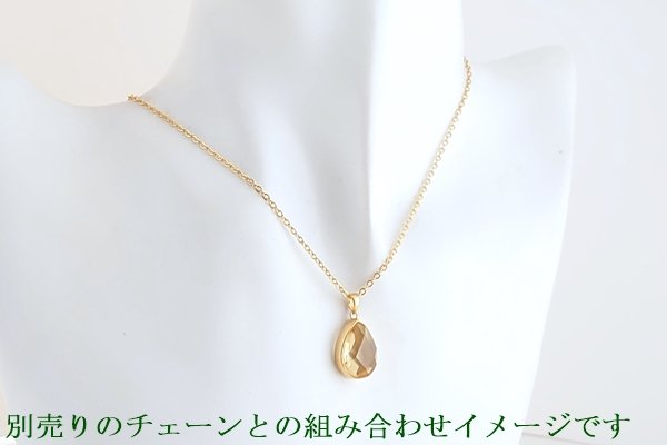 画像5: 琥珀ペンダント (5)