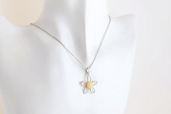 画像4: 琥珀ペンダント (4)