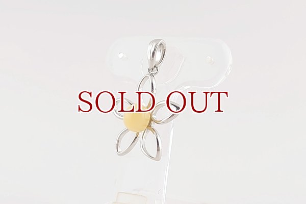 画像2: 琥珀ペンダント (2)