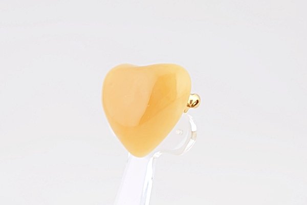 画像5: 琥珀ブローチ (5)