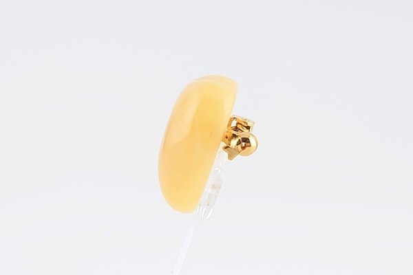 画像6: 琥珀ブローチ (6)