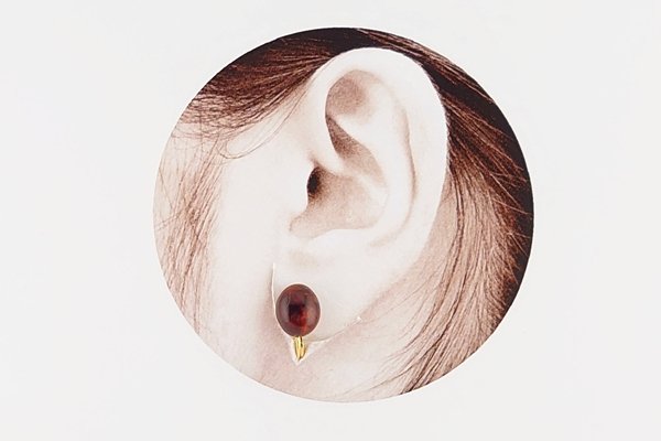 画像6: 久慈産琥珀イヤリング (6)