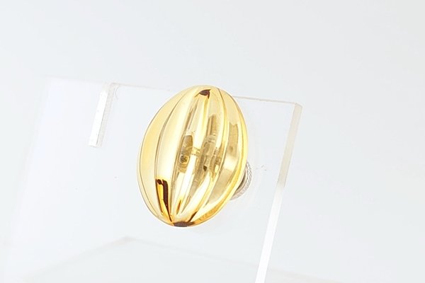 画像3: 琥珀タイタック (3)