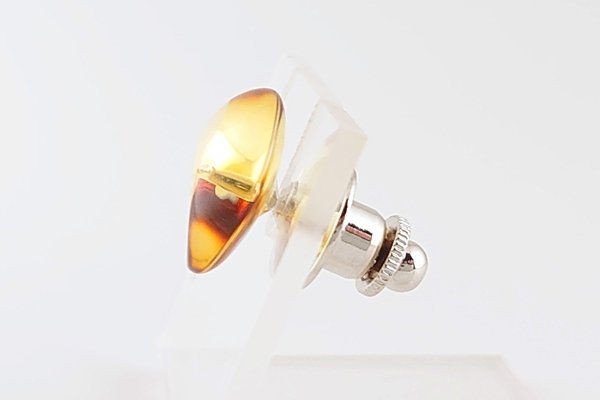 画像4: 琥珀タイタック (4)