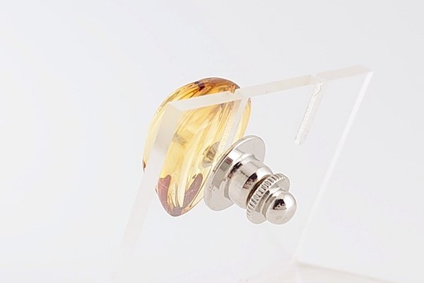 画像5: 琥珀タイタック (5)