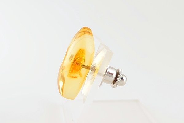 画像4: 琥珀タイタック (4)