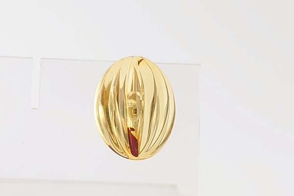 画像2: 琥珀タイタック (2)