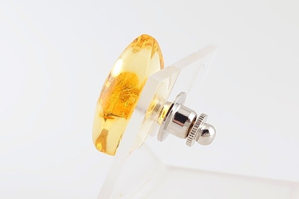 画像5: 琥珀タイタック (5)