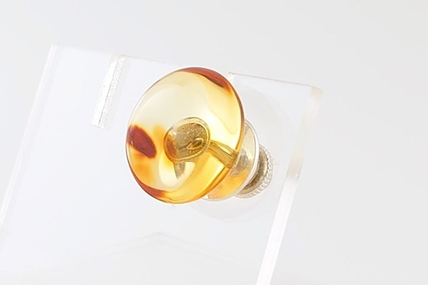 画像3: 琥珀タイタック (3)