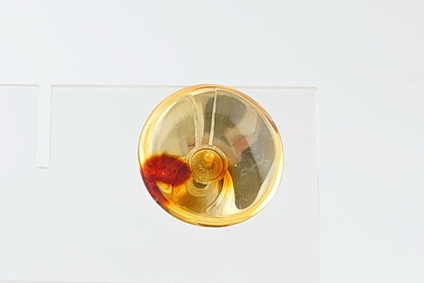 画像2: 琥珀タイタック (2)