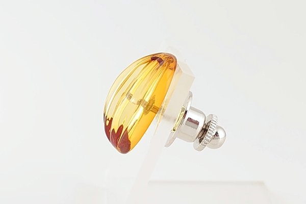 画像4: 琥珀タイタック (4)