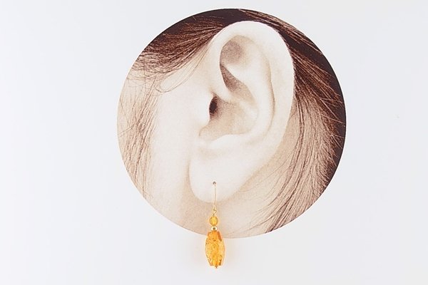 画像5: 琥珀ピアス (5)