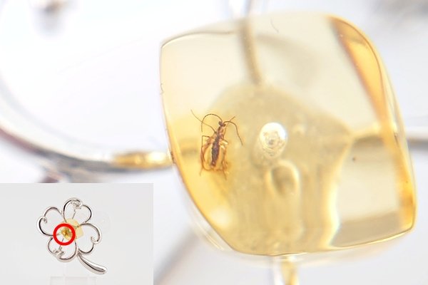 画像2: 虫入琥珀ブローチ (2)
