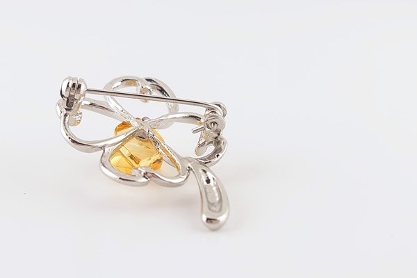 画像6: 虫入琥珀ブローチ (6)