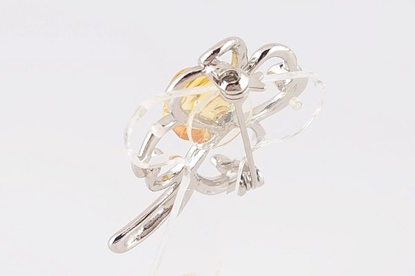 画像5: 虫入琥珀ブローチ (5)