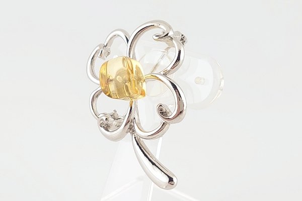 画像3: 虫入琥珀ブローチ (3)