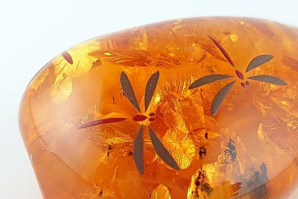 画像8: 琥珀原石（蒔絵） (8)