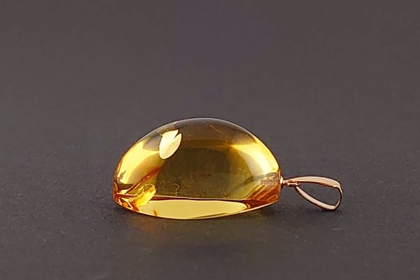 画像8: 琥珀ペンダント (8)