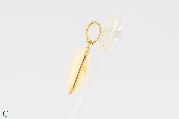 画像13: 琥珀ペンダント (13)