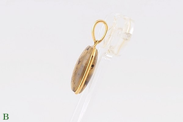 画像9: 琥珀ペンダント (9)