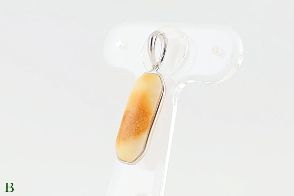 画像8: 琥珀ペンダント (8)