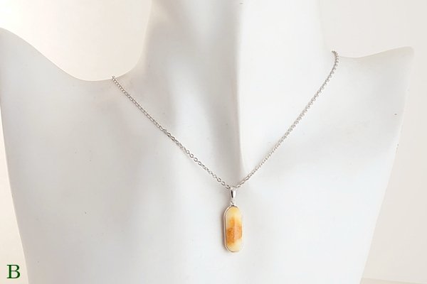 画像16: 琥珀ペンダント (16)